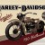Placa metalica - Harley Davidson Genuine 750 - 20x30 cm